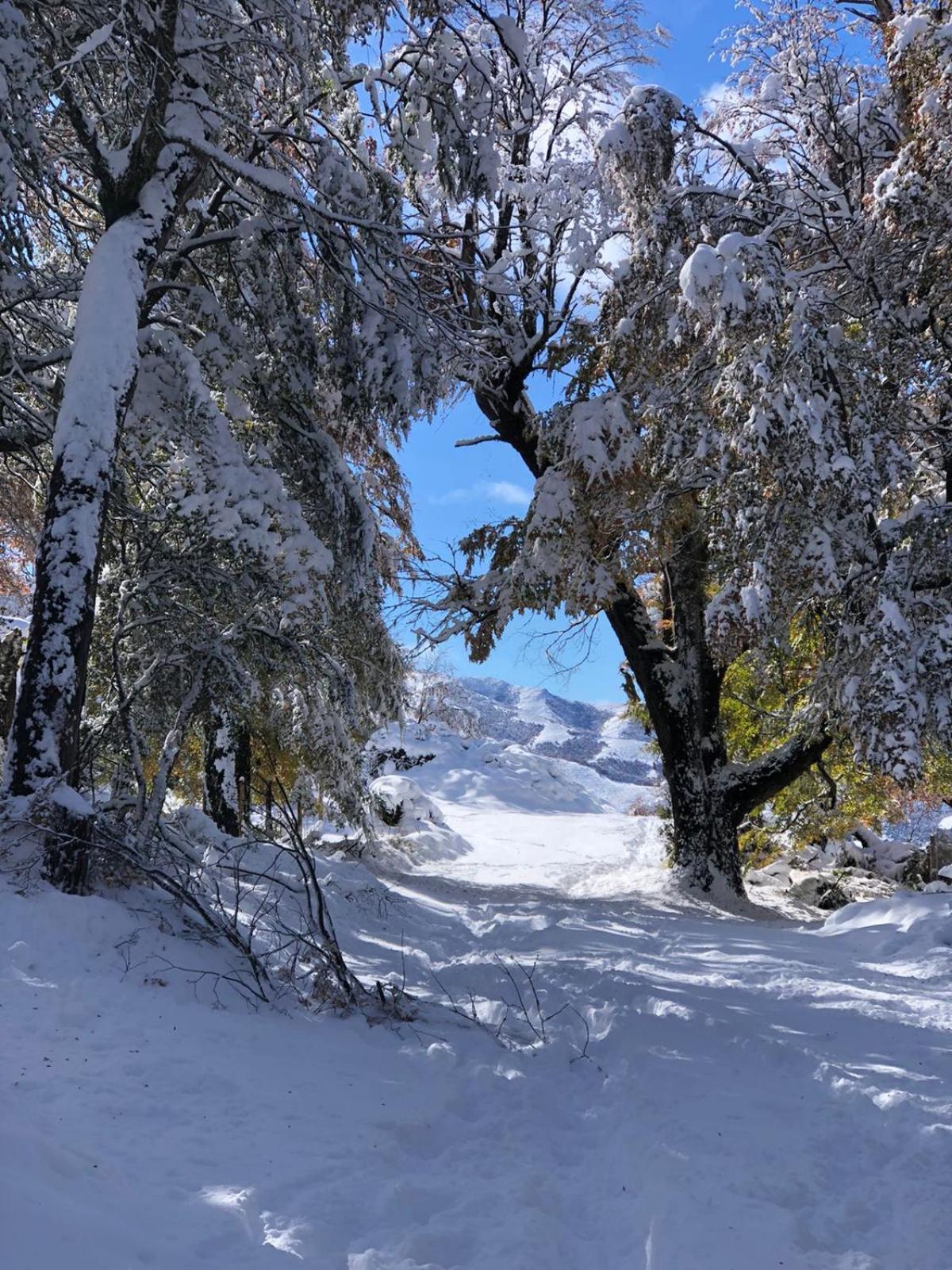 Cabana El Maqui San Martín de los Andes Buitenkant foto